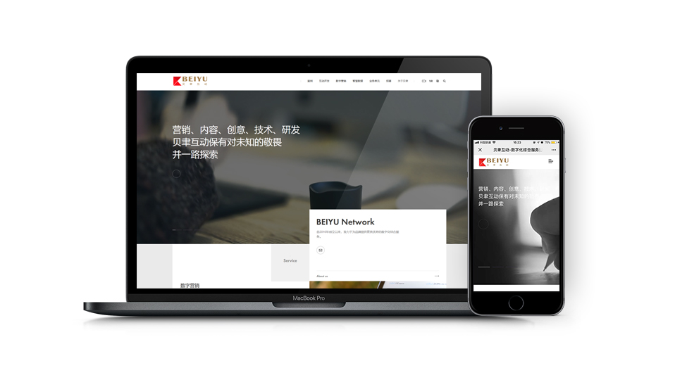 網(wǎng)站開發(fā)